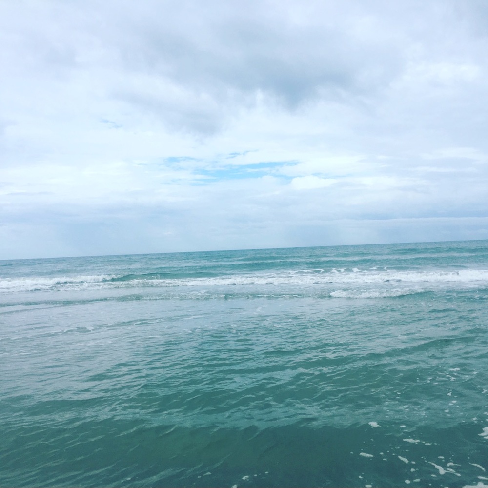 Meet your Posher, Wendy